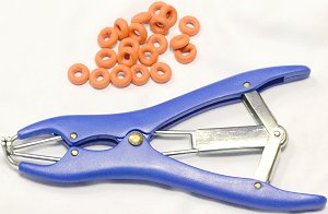 Castration devices. South Africa, Pretoria, Villieria