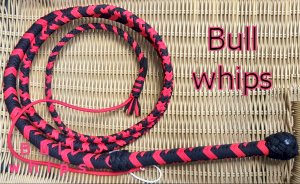 To keep trouble makers at bay. South Africa, Pretoria, Villiera